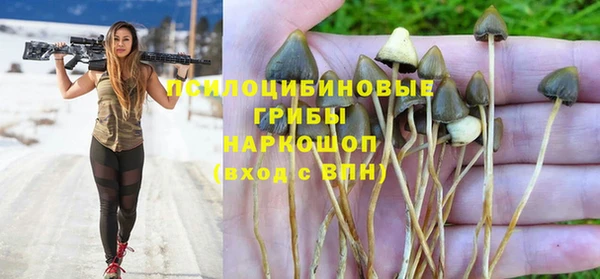 дурь Верхний Тагил